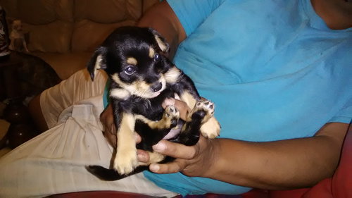 Molly