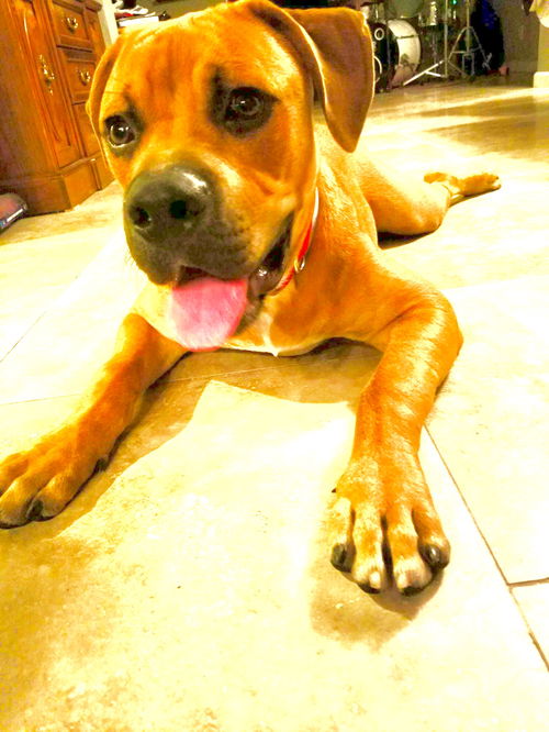 Jax