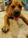Jax