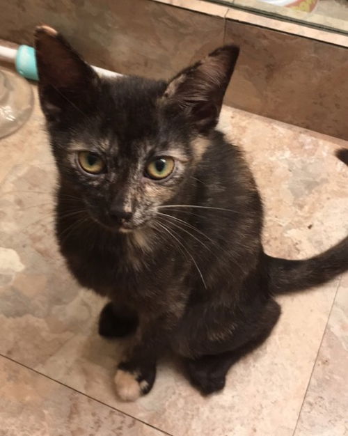 Salem