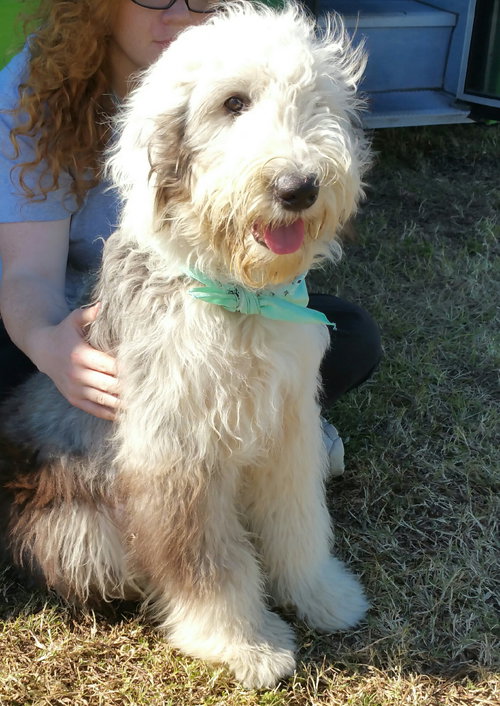 Murphy
