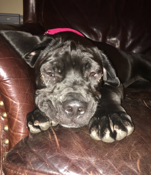 Ruby