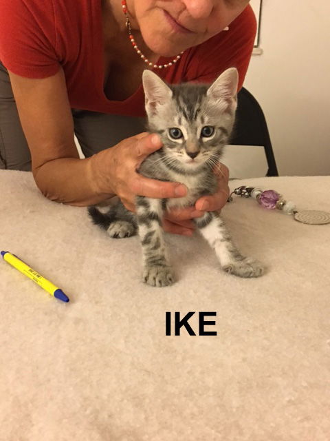 Ike