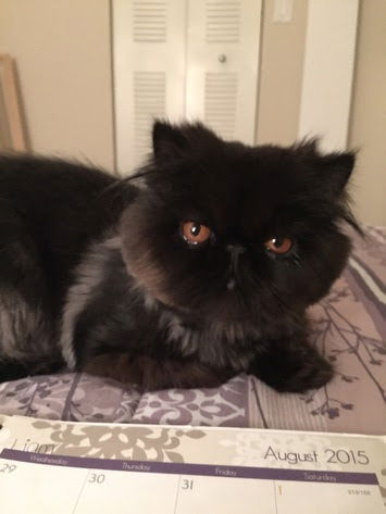 Ember
