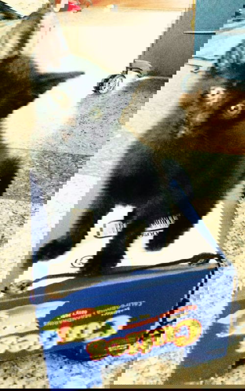 Jett