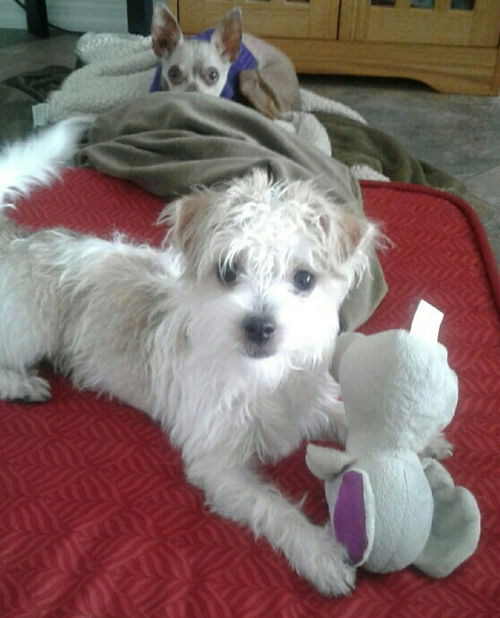 Chloe