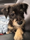 Jax
