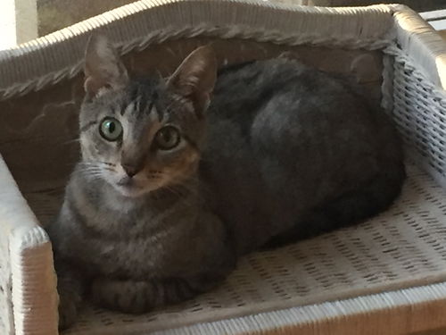Eleanor