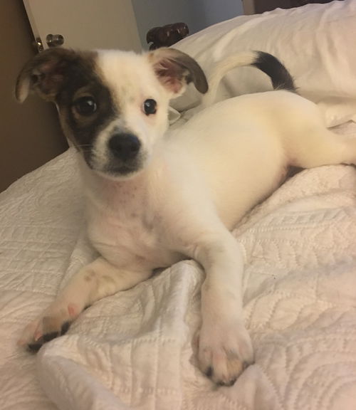 Penny