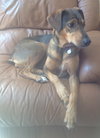 Roxie