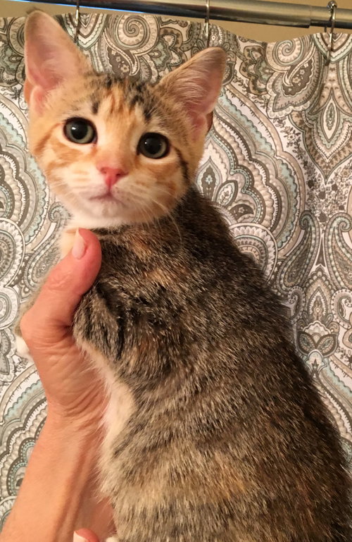 Minnie