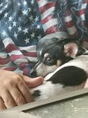 Chiquita
