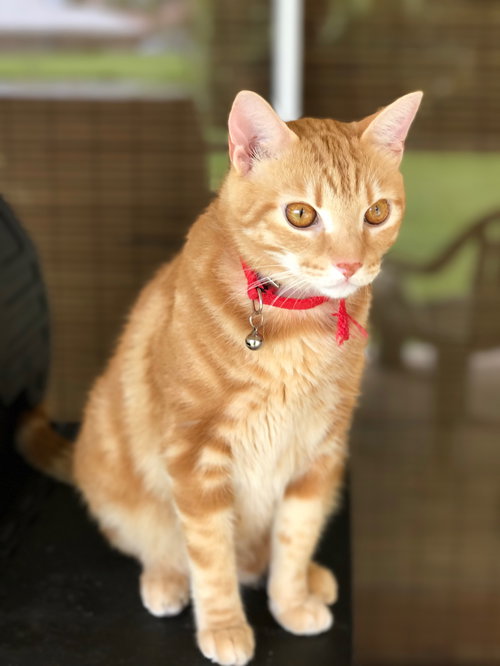 Miguel