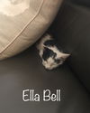 Ella Bell