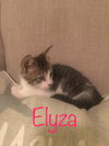 Elyza