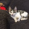 Tina