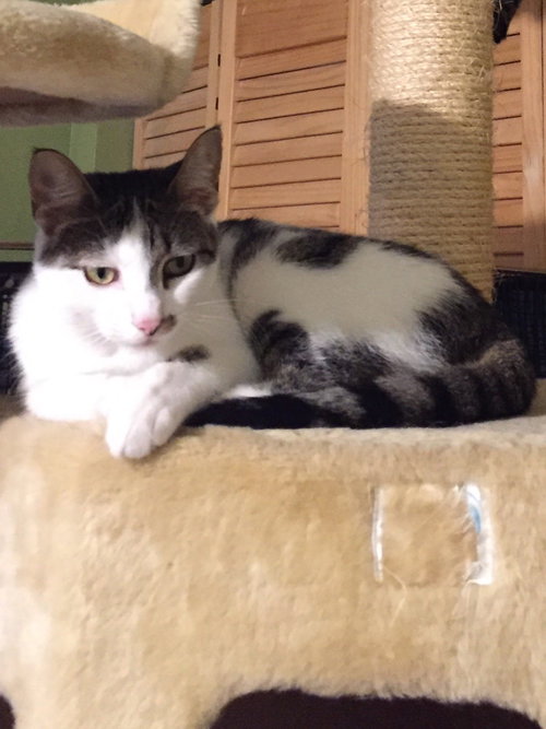 Tina