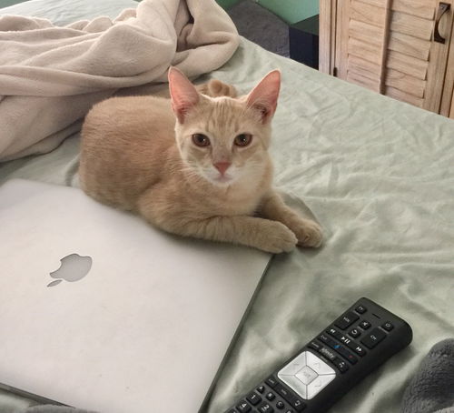 Didi from Puerto Rico