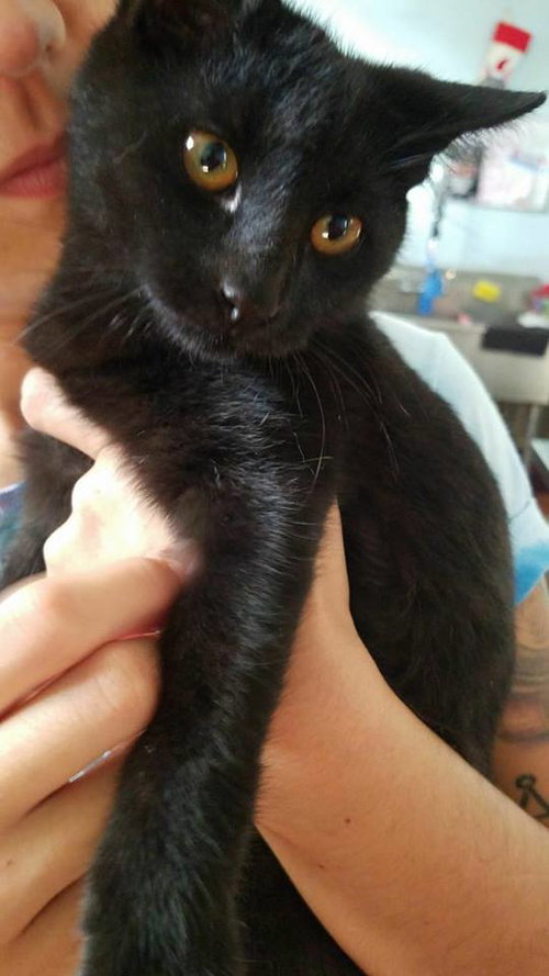 Lulu from Puerto Rico