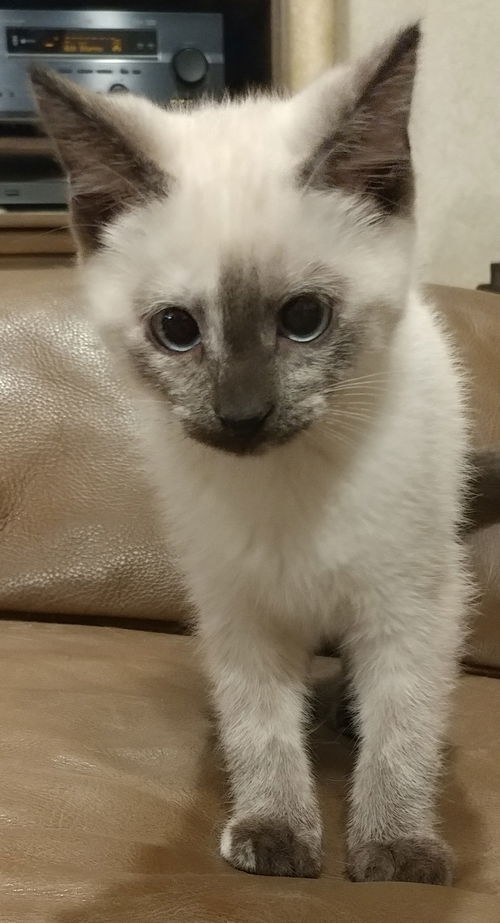 Felicity