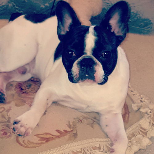 Dexter
