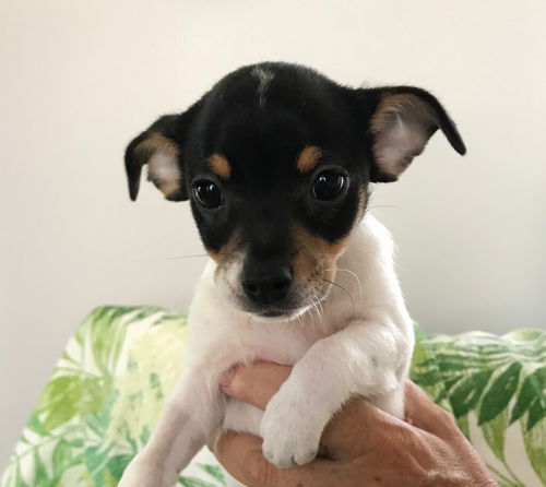 Betty