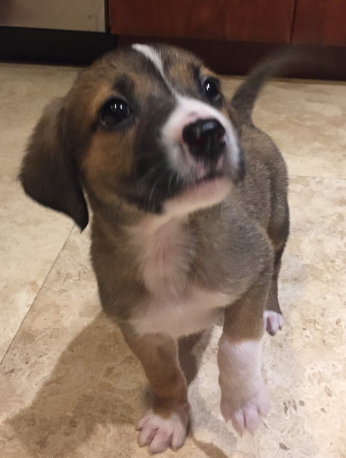 Minnie