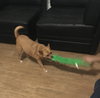 Mexie