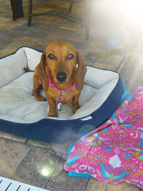 Shirley