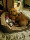Shirley