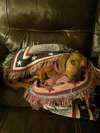 Shirley