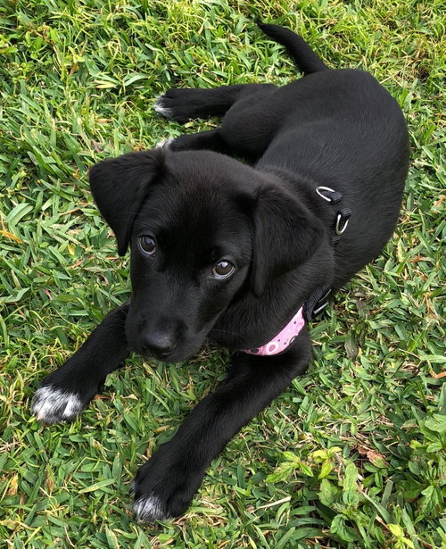 Luna