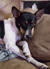 Pepperr