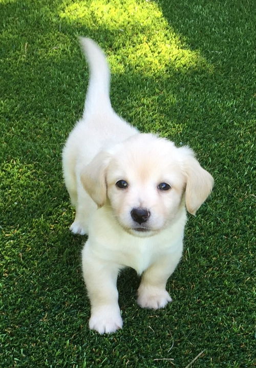 Stanley