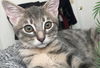 Jax