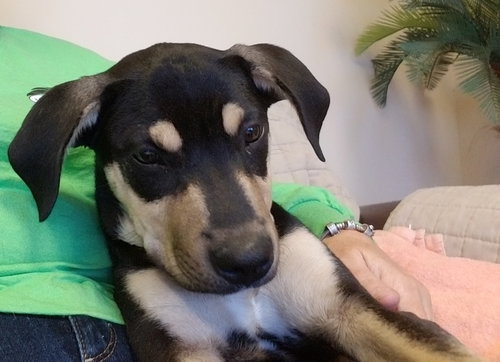 Tucker