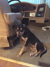 Tucker