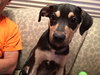Tucker