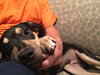 Tucker