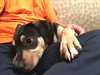 Tucker