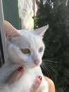 Trudy