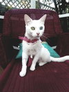 Trudy