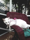 Trudy