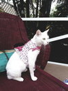 Trudy