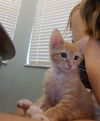 Winston