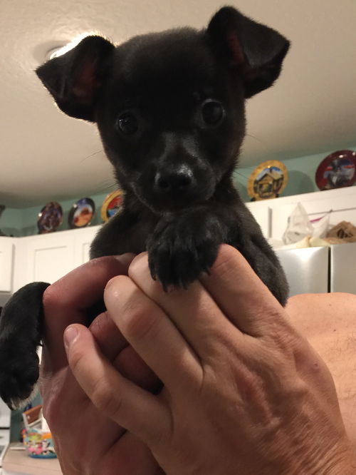 Denny