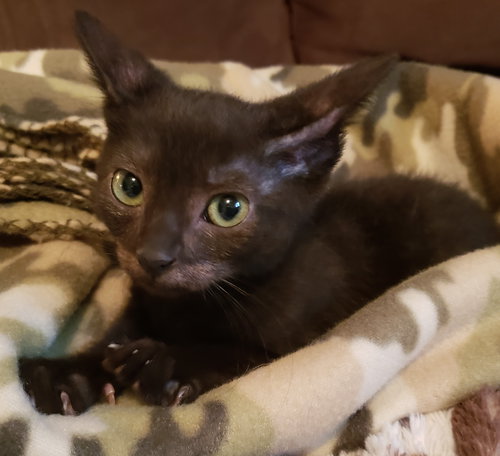 Eugene