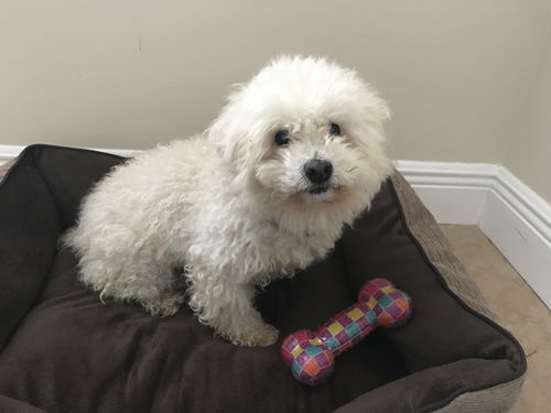 Diego