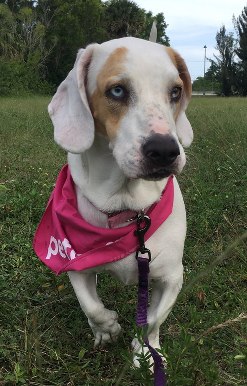 Mia