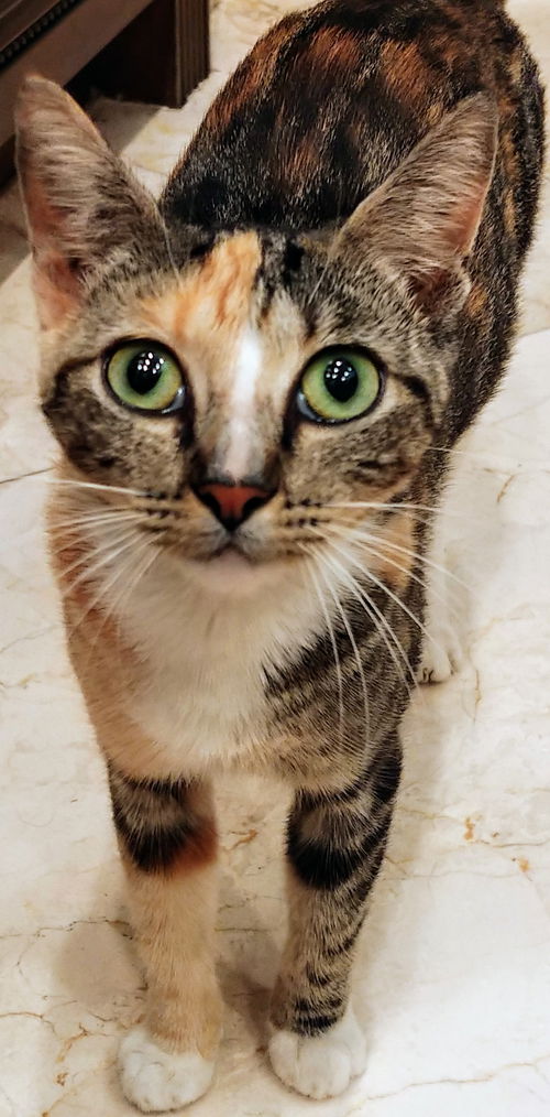 Chloe